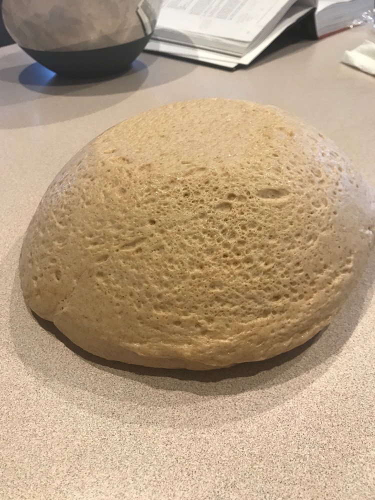 Bread dough after initial rise 